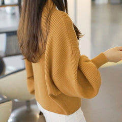 Loose Pullovers Knitted Jumper