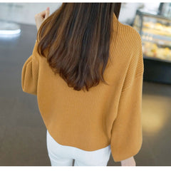 Loose Pullovers Knitted Jumper