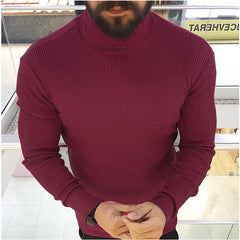 Turtleneck Sweater Solid Fit