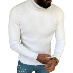 Turtleneck Sweater Solid Fit