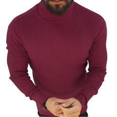 Turtleneck Sweater Solid Fit