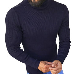 Turtleneck Sweater Solid Fit