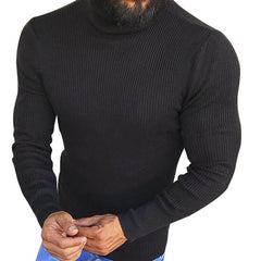 Turtleneck Sweater Solid Fit