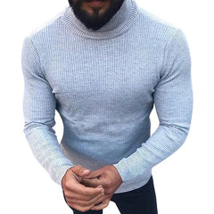 Turtleneck Sweater Solid Fit