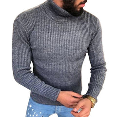 Turtleneck Sweater Solid Fit